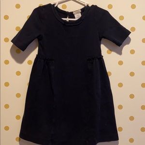 J Crew Navy Blue Artist Dress